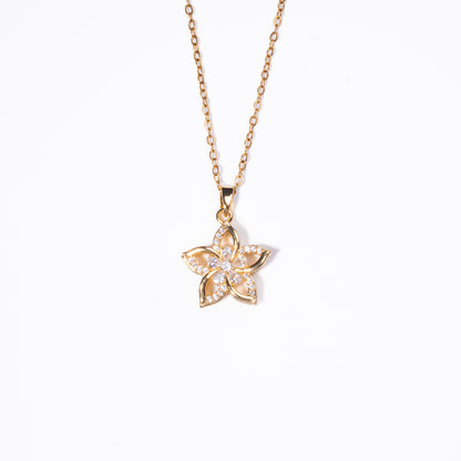 Collar Anti Estrés Estrella