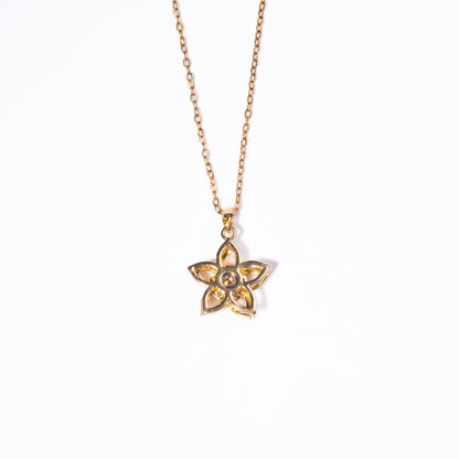 Collar Anti Estrés Estrella