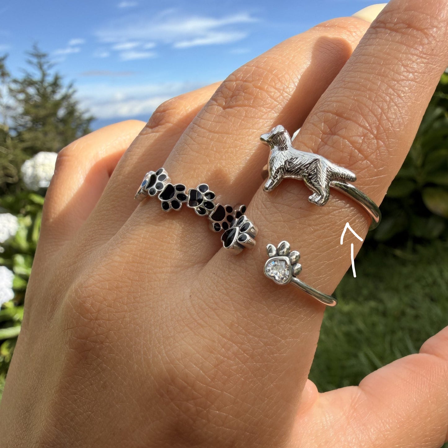 Anillo Plata S925 Golden Retriever