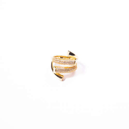 Anillo Linaje