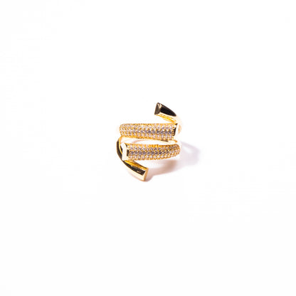 Anillo Linaje