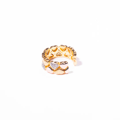 Anillo Terso