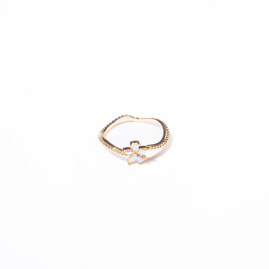 Anillo Indescifrable
