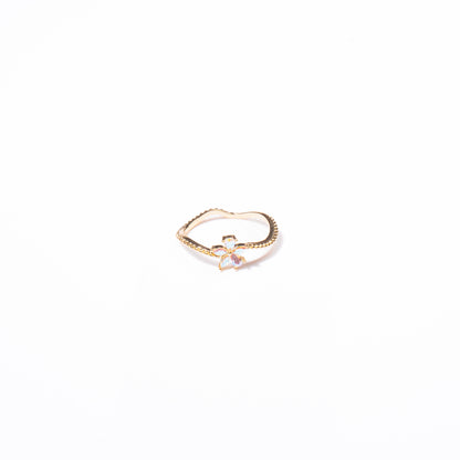 Anillo Indescifrable