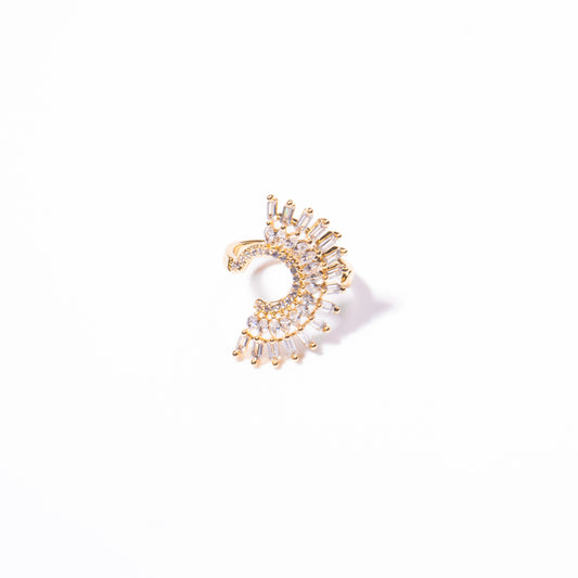 Anillo Relente