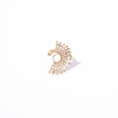 Anillo Relente