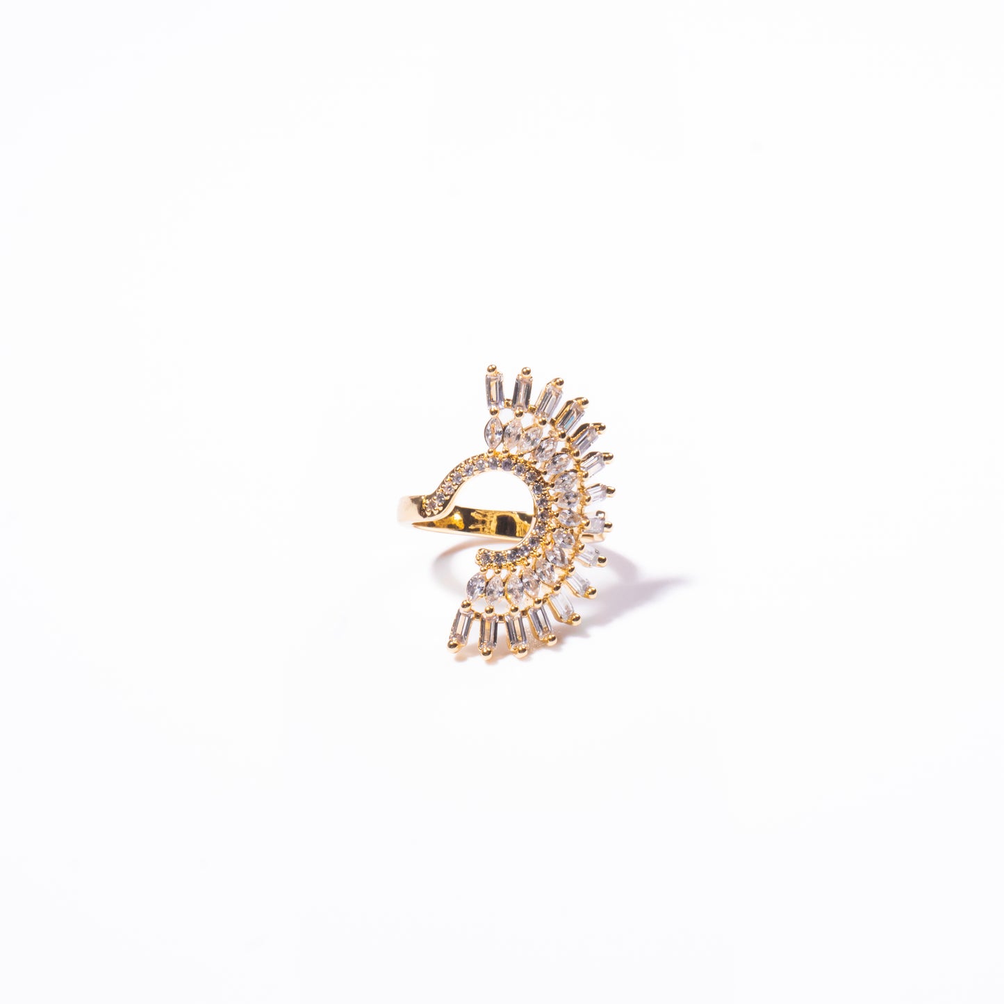 Anillo Relente