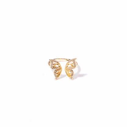 Anillo Levedad