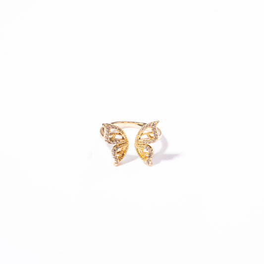 Anillo Levedad