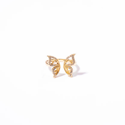 Anillo Levedad