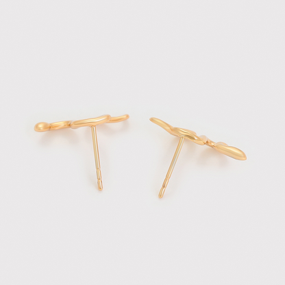 Aretes Aria