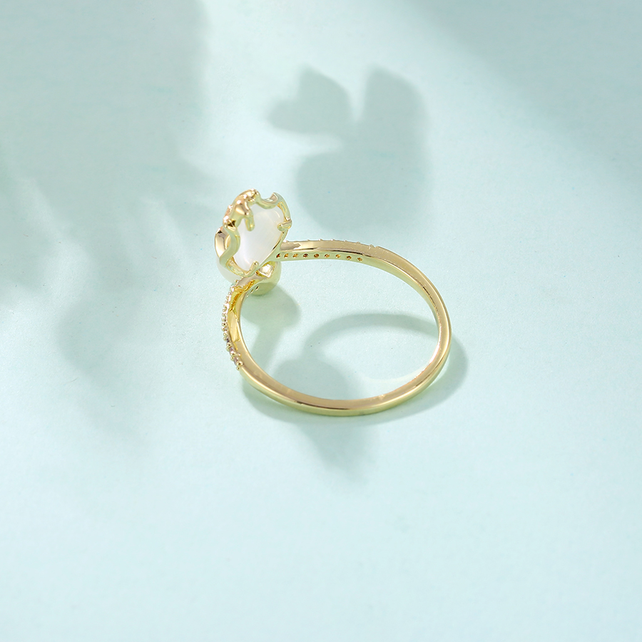 Anillo Sideral