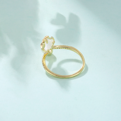 Anillo Sideral