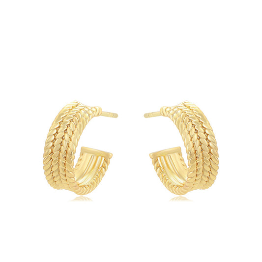 Aretes Vanya