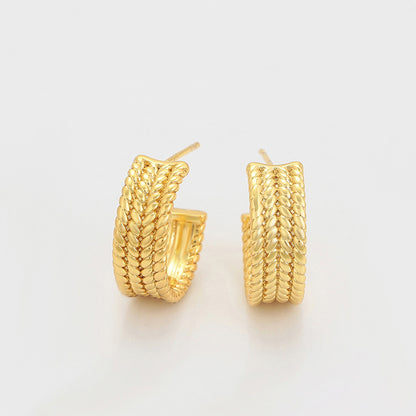Aretes Vanya