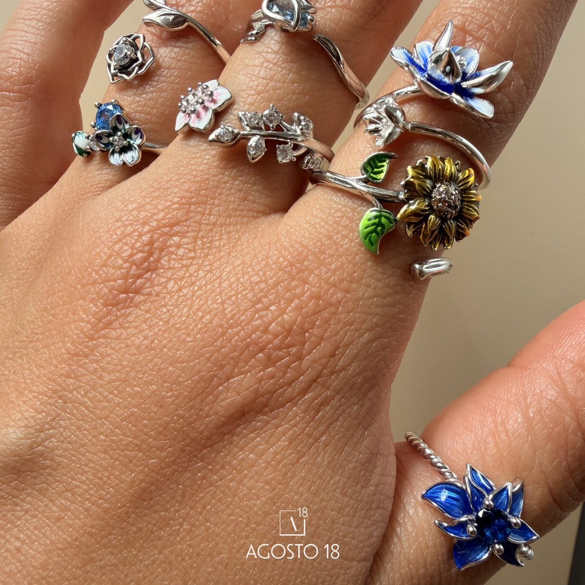 Anillos Plata S925 Agosto 18 – así se ve puesto