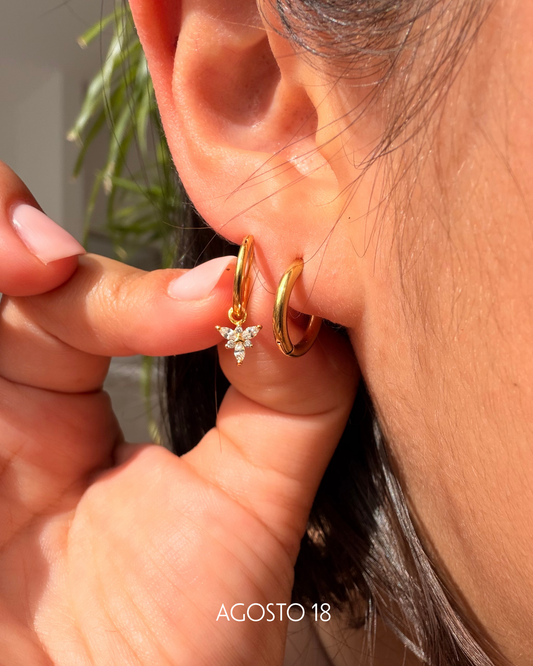 Aretes Abeja Cristal Dorados Plata S925 puestos en modelo