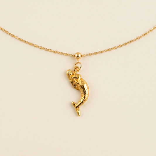 Sirena Dorado - Agosto 18