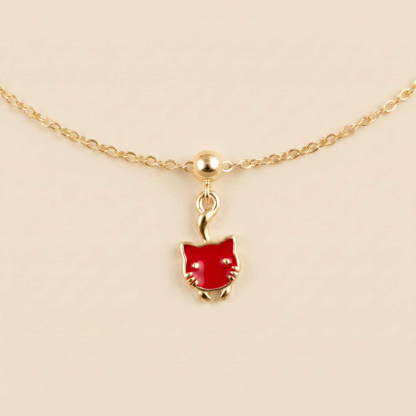 Gato Rojo Dorado - Agosto 18