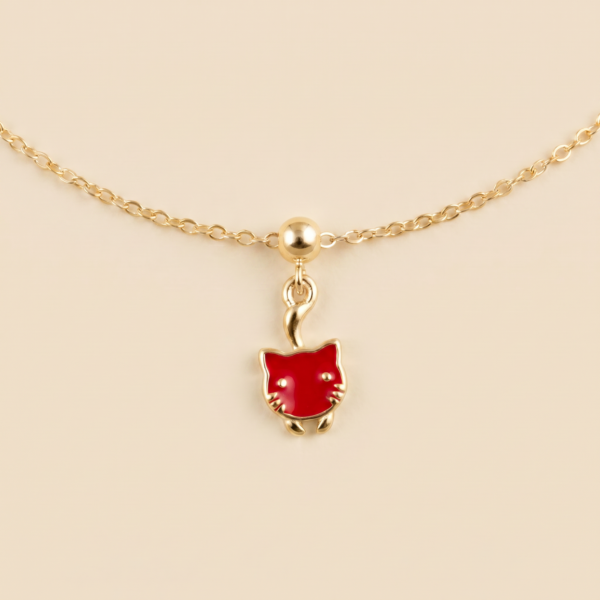 Gato Rojo Dorado - Agosto 18