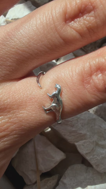Anillo Plata S925 Dinosaurio