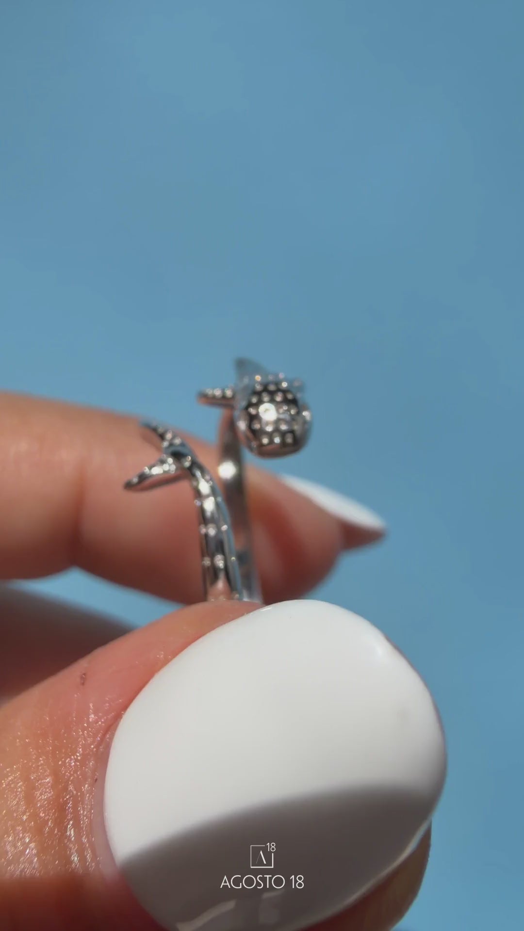 Anillos Plata S925 Agosto 18 – en video