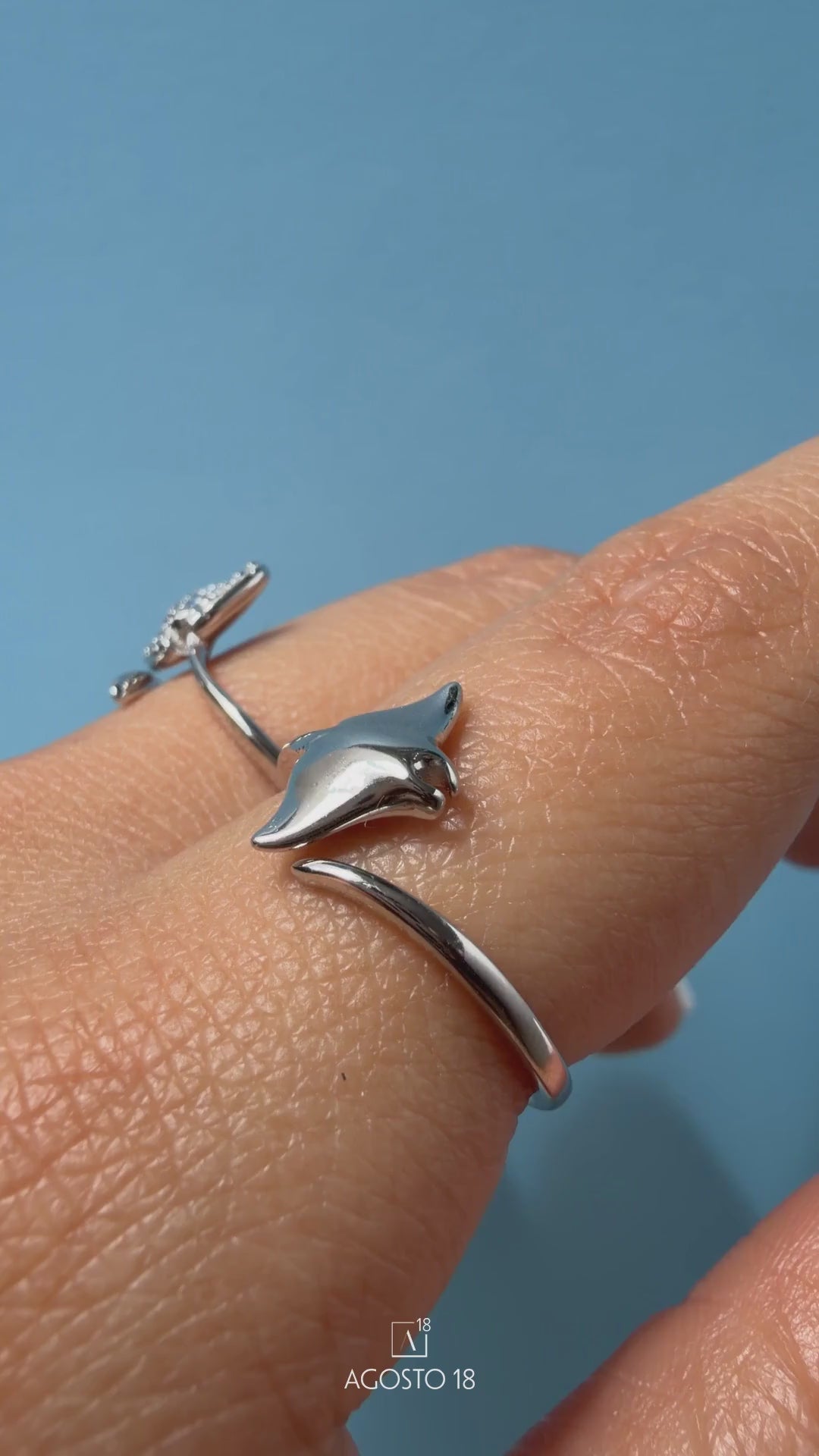 Anillos Plata S925 Agosto 18 – en video