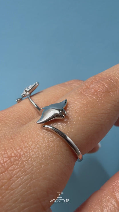 Anillos Plata S925 Agosto 18 – en video