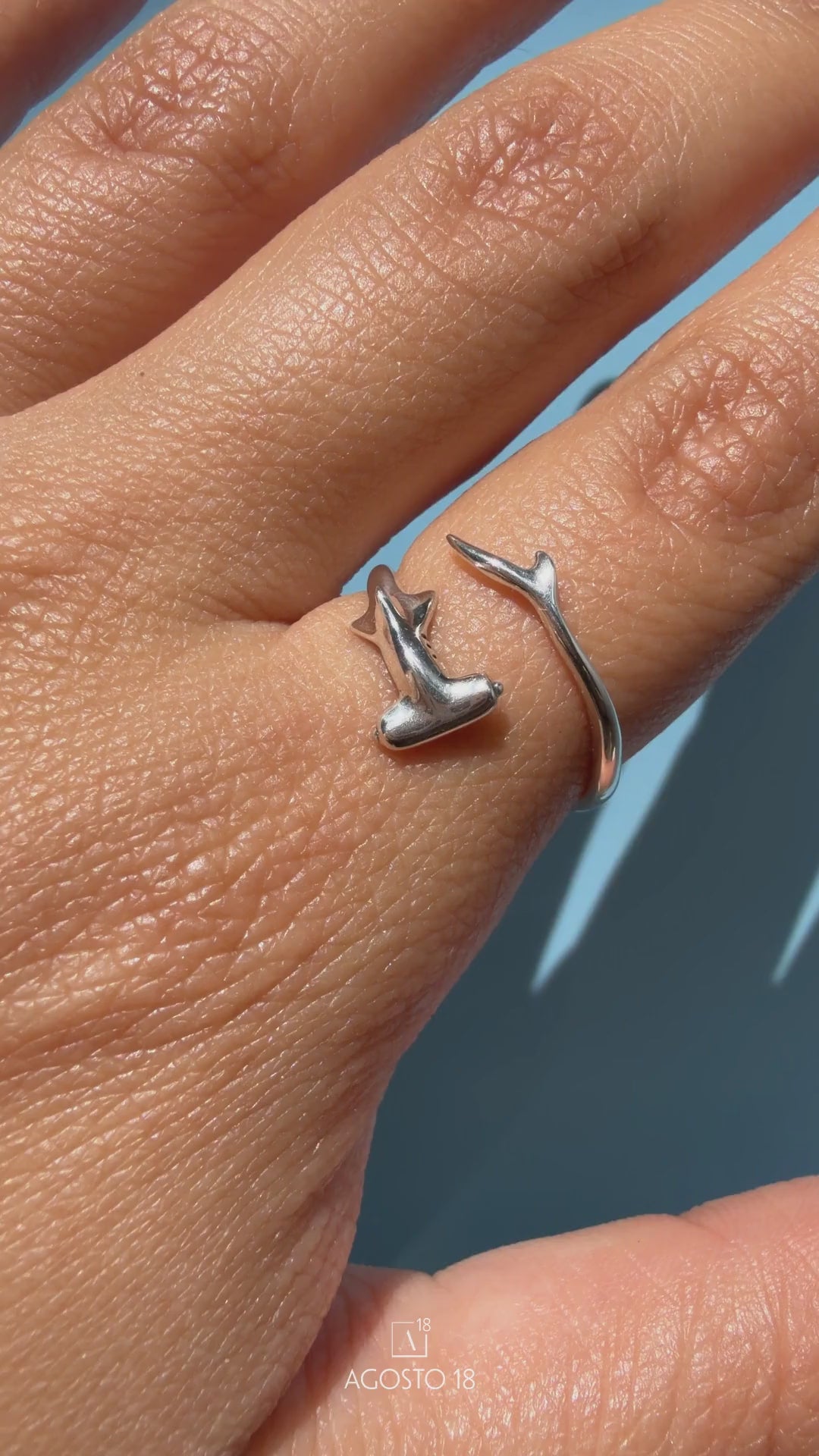 Anillos Plata S925 Agosto 18 – en video