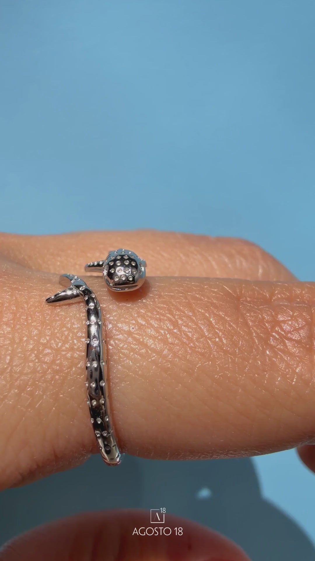 Anillos Plata S925 Agosto 18 – en video